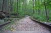 Irish_Creek_Railway_Yankee_Horse.JPG