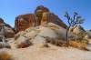 Jumbo_Rocks_Joshua_Tree_NP.JPG