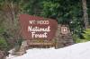 Mount_Hood_National_Forest.JPG