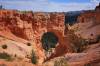 Natural_Bridge1.JPG