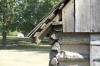 Prairie_Grove_Battlefield_State_Park.jpg