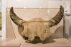 SD_Cultural_Heritage_Center-7350.jpg