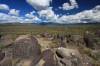 Three_Rivers_Petroglyphs_NM.JPG