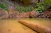 Upper_Emerald_Pool_Zion_National_Park.jpg
