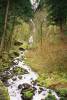 Wahkeena_Falls.JPG