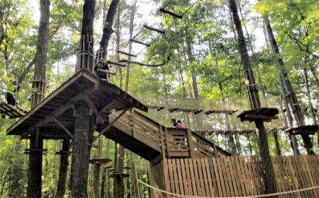 Go Ape