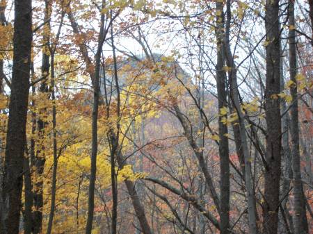 Pilot Mountain State Park