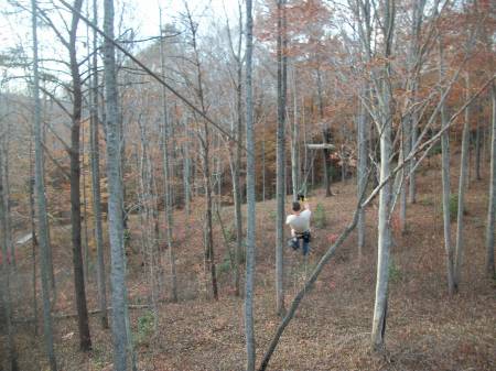 Carolina Ziplines
