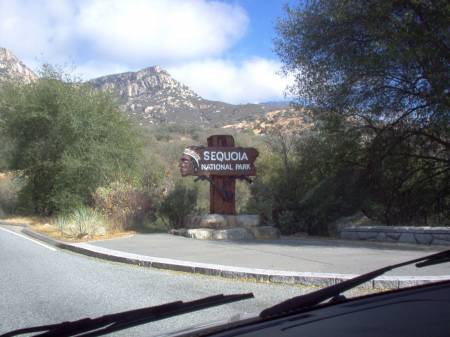 Sequoia NP