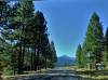 DSCF0350.JPG