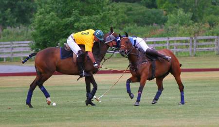 polo