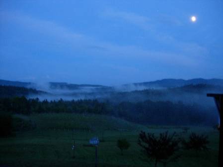 Haunting Whisper Vineyards