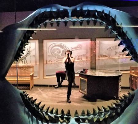 Florida Museum of Natural History