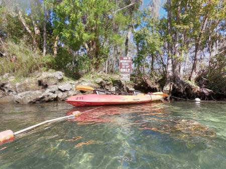Crystal River Kayak