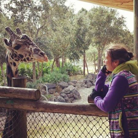 Brevard Zoo and Treetop Tour