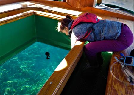 Glass Bottom Boat Tour