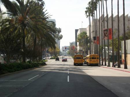 Miracle Mile