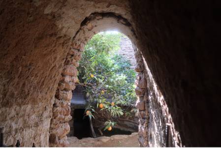 Forestiere Underground Gardens