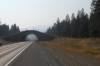 86_-_Weird_bridge-tunnel.JPG