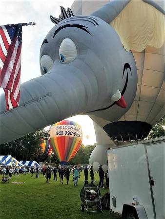 Spiedie Fest