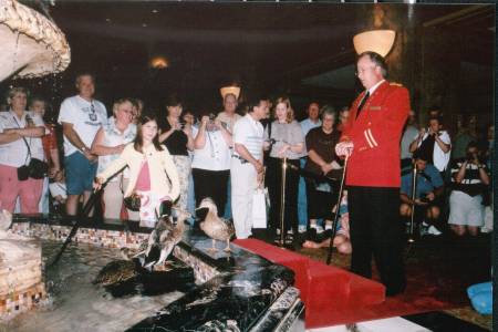The Peabody Ducks