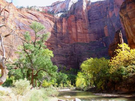 Zion NP