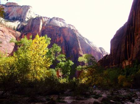 Red walls of Zion.
