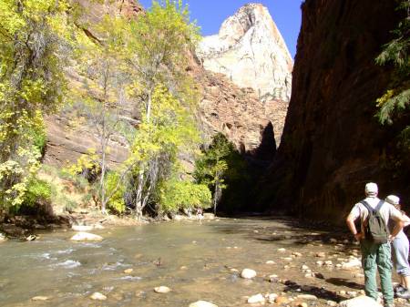Virgin river to the Narrows, Zion NP