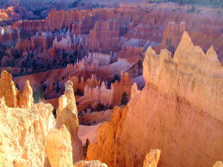 Bryce canyon NP