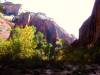 DSCF0523.JPG