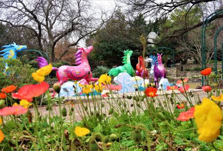 Fort Worth Botanic Garden