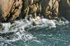 Point_Lobos.jpg