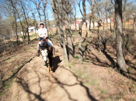 Thunderbird Riding Stables