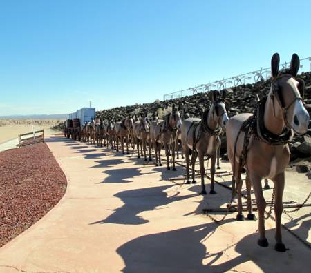 Borax_Museum_20_Mule_Team