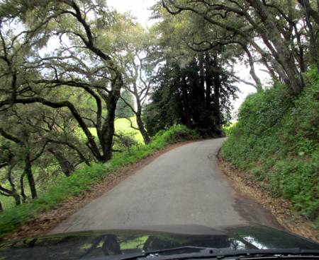 Mt_Madonna_Road