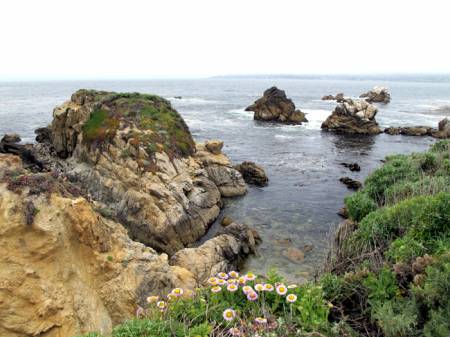 Point_Lobos1
