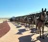 Borax_Museum_20_Mule_Team.jpg