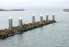 Moss_landing_SeaLions_Dock.jpg