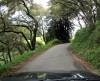 Mt_Madonna_Road.jpg