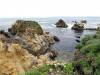 Point_Lobos1.jpg