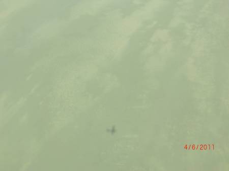The Flight