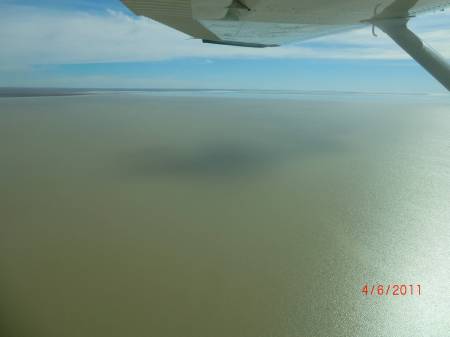 The Flight
