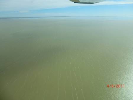 The Flight
