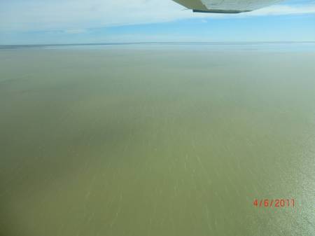 The Flight