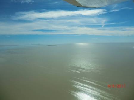 The Flight