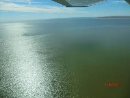The Flight