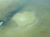 2011-06-04_Lake_Eyre_001_100_.jpg