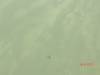 2011-06-04_Lake_Eyre_001_114_.jpg