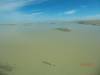 2011-06-04_Lake_Eyre_001_124_.jpg
