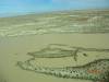 2011-06-04_Lake_Eyre_001_130_.jpg